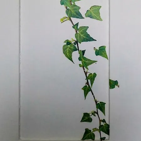 Les Havrais Feriehus *