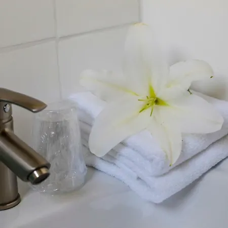 Les Havrais Le Havre