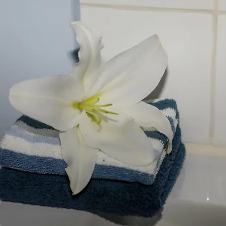 בית נופש Les Havrais *